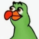 seagull-frog avatar