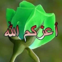 shabanahmad avatar