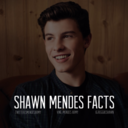 shawnmendesfacts avatar