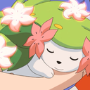 shaymin-appreciation avatar