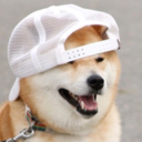 shibe-enthusiast avatar