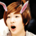 shineebambi-blog avatar