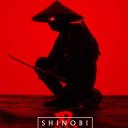 shinobi55ninja avatar