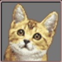 shoe-the-mafia-cat avatar