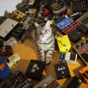 shoegazecat avatar