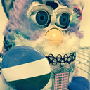 shoelace-and-furbys avatar