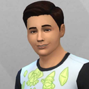 simsinanscreationssims4-blog avatar