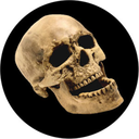 skull-kicker avatar