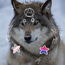 slitzy-therian-wolf avatar