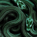 slytherinknowitall avatar