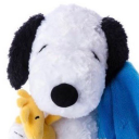 snoopy-house avatar