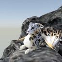 snowleopardcatdragon avatar