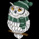 snowyslytherinowl avatar