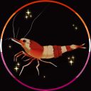 softshrimpy avatar