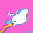 sou-uma-unicornia-gorda avatar