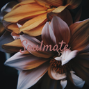 soulmate-ph avatar