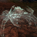 spectralmudcrab avatar