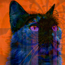 spiritanimals-blog avatar