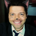 spnkitties-blog avatar