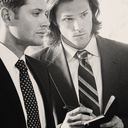 spnwinchesters avatar