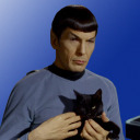 spockskitty avatar