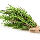 sprig-of-rosemary avatar