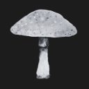 steel-mushroom avatar