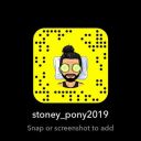 stonyponyxxx avatar