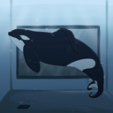 stoppingseaworld avatar