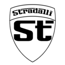 stradallicycle avatar