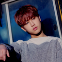 straykidshan avatar