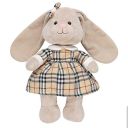 stuffies-schoolhouse avatar