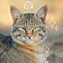 styxthecaracal avatar