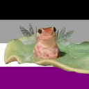 sucidefrog avatar