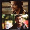 supernaturalwinchesterimpal-blog avatar