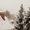 sweaters-coffee-and-snow avatar