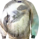 sweatersloth avatar