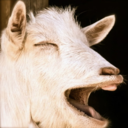 swedishmountaingoat avatar