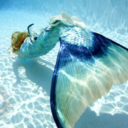 swimming-withmermaids avatar