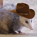 tdpossum avatar