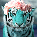 tealtiger avatar