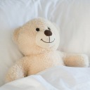 tedsinbed avatar