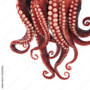 tentacly-goodness avatar