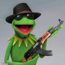 terroristkermitthefrog avatar