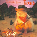 texan-hedgehog avatar