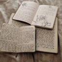 the-bookish-journal avatar