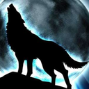 the-supernatural-wolf avatar