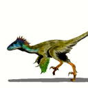 thefingerpaintingutahraptor avatar