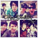 thephandirectory avatar