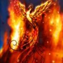 thestarbirdfromtheashes avatar